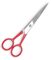 Hair Cutting Scissors