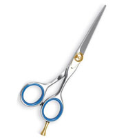 Hair Cutting Scissors