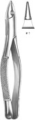 Dental Forceps, American Pattren
