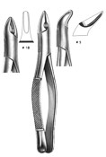 Dental Forceps, American Pattren