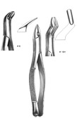Dental Forceps, American Pattren