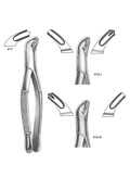 Dental Forceps, American Pattren