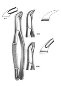 Dental Forceps, American Pattren