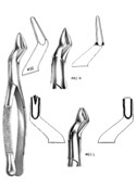 Dental Forceps, American Pattren
