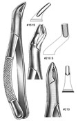 Dental Forceps, American Pattren