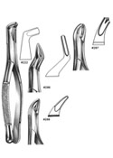 Dental Forceps, American Pattren
