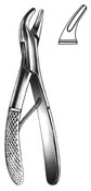 Dental Forceps, American Pattren