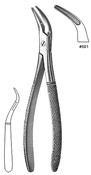 Root Fragment Forceps