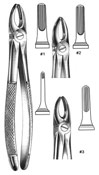Dental Forceps, English  Pattren