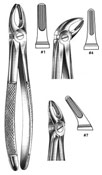 Dental Forceps, English  Pattren