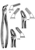 Dental Forceps, English  Pattren