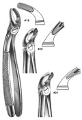 Dental Forceps, English  Pattren