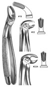 Dental Forceps, English Pattren