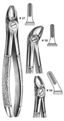 Dental Forceps, English  Pattren