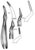 Dental Forceps, English Pattren