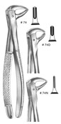 Dental Forceps, English  Pattren