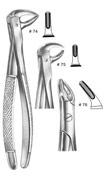 Dental Forceps, English  Pattren