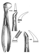 Dental Forceps, English  Pattren