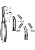 Dental Forceps, English Pattren