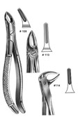 Dental Forceps, English Pattren