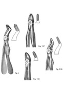 Dental Forceps, English Pattren