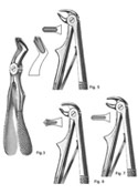 Dental Forceps, English  Pattren
