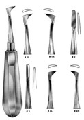 Root Elevators