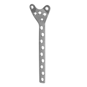 Orthopedic Implants