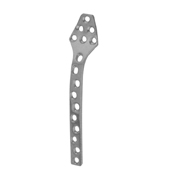 Orthopedic Implants