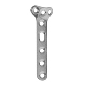 Orthopedic Implants