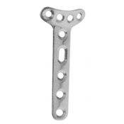 Orthopedic Implants