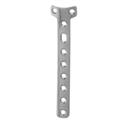 Orthopedic Implants