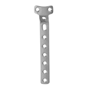 Orthopedic Implants
