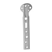 Orthopedic Implants