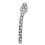 Orthopedic Implants