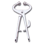 Bull Holder
