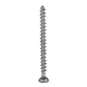 Orthopedic Implants