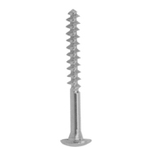 Orthopedic Implants