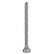 Orthopedic Implants