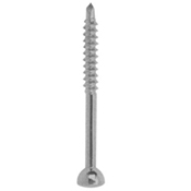 Orthopedic Implants