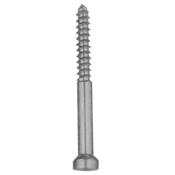 Orthopedic Implants