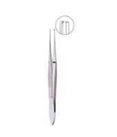 TISSUE FORCEP